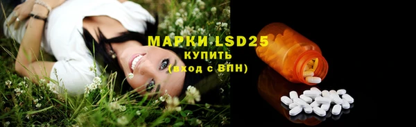 эйфоретик Аркадак
