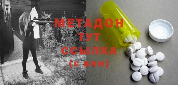 прущие грибы Алзамай