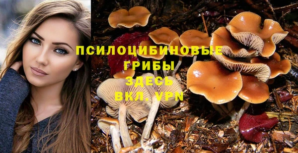 эйфоретик Аркадак