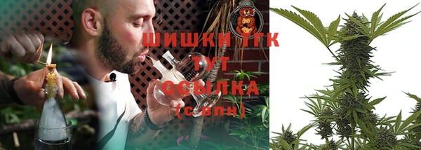 эйфоретик Аркадак
