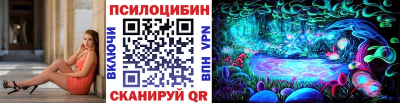 Галлюциногенные грибы MAGIC MUSHROOMS как найти Волхов